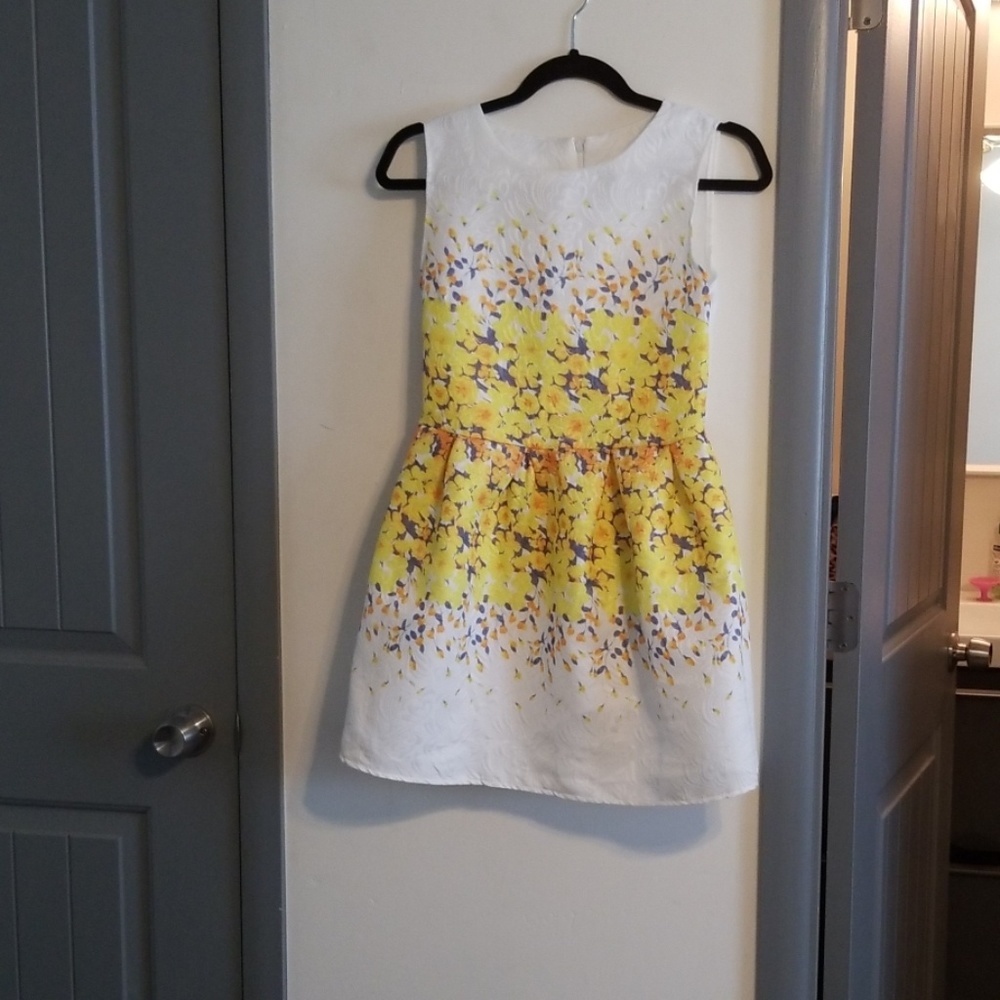 NWOT Springtime dress